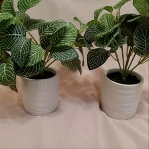 Set of Two New Decorative Potted Plants